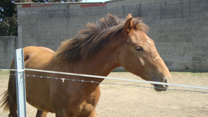 Photo de profil de audric1990