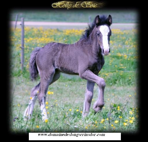 Photo de profil de ddlcd