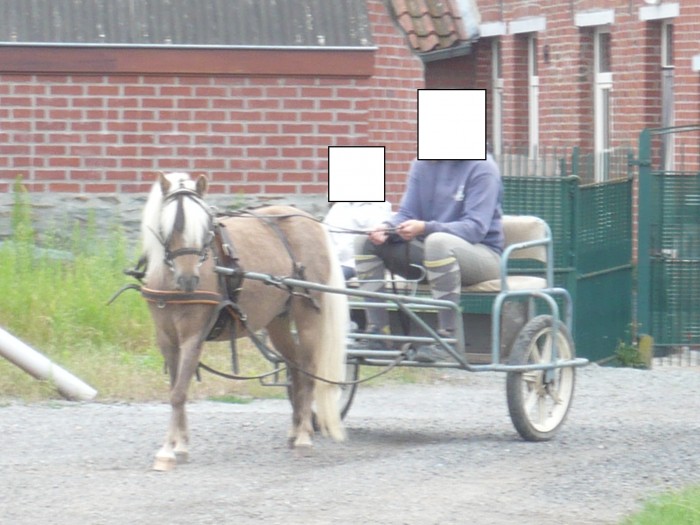 Photo de profil de vivivdl
