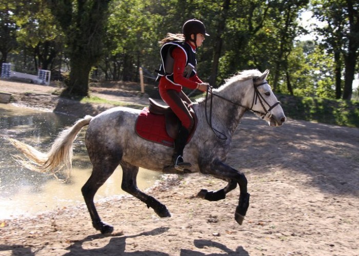 Photo de profil de cavaliere44