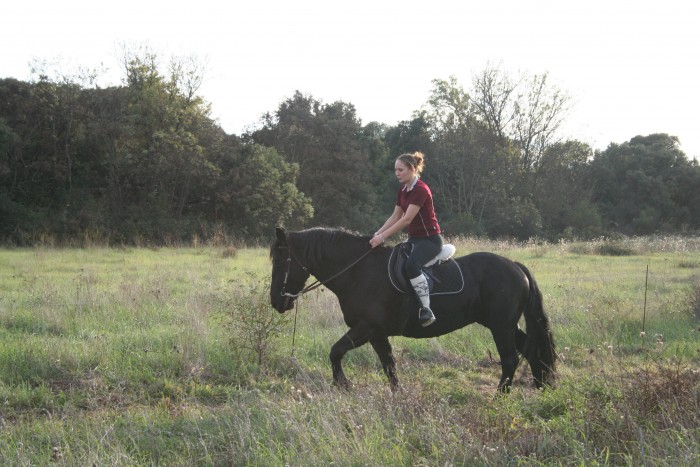 Photo de profil de laurinette94