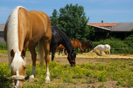Photo de profil de houlibouli