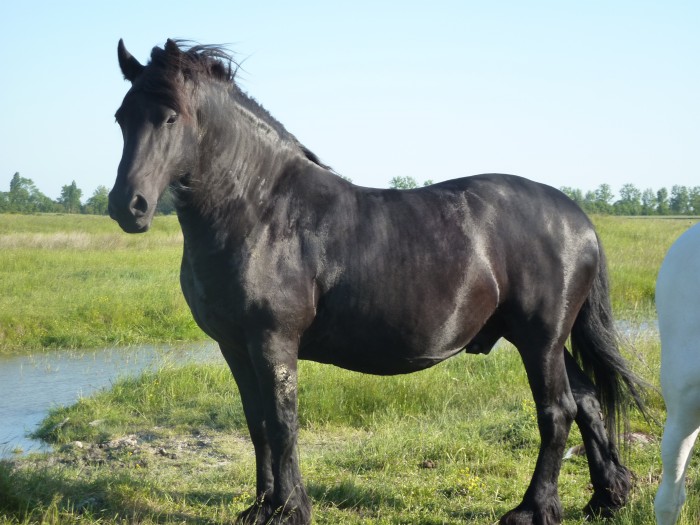 Photo de profil de fincatriana