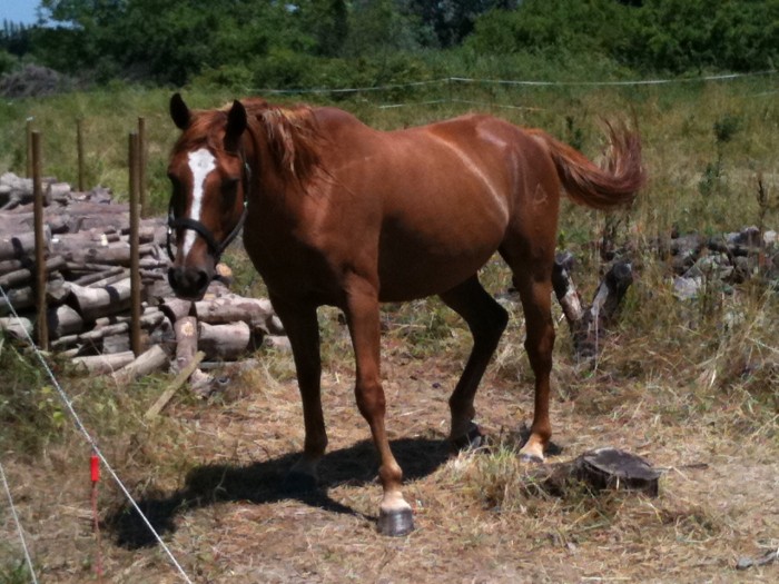Photo de profil de flore13150