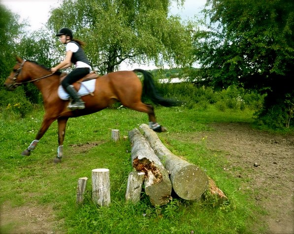 Photo de profil de cheval_