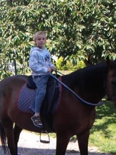 Photo de profil de arabe