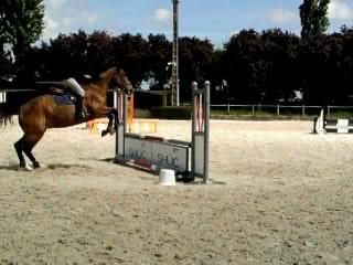 Photo de profil de laura95
