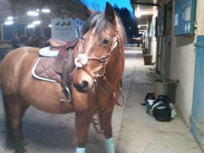 Photo de profil de celiine92