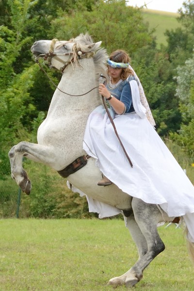 Photo de profil de licorne78