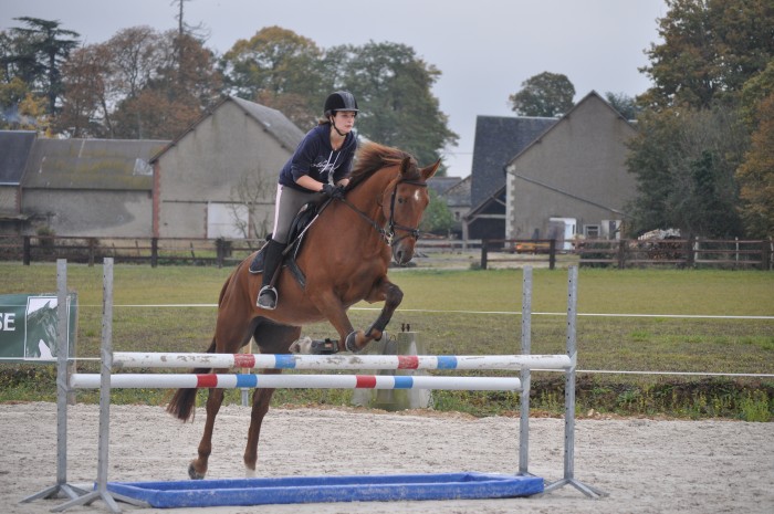 Photo de profil de alice.fou