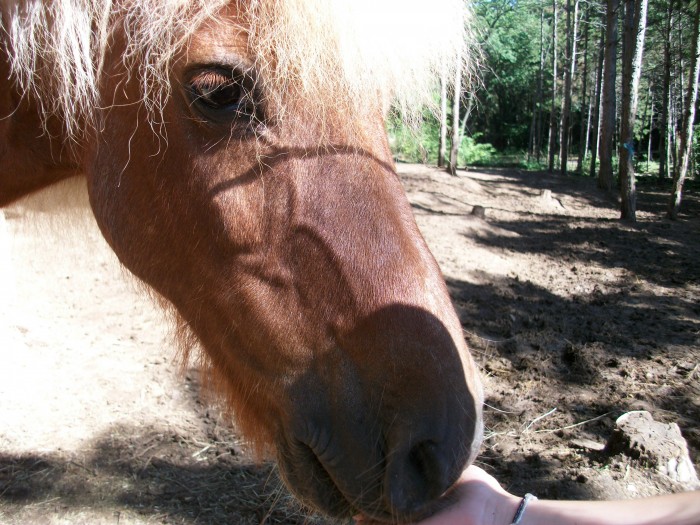 Photo de profil de gatoune26