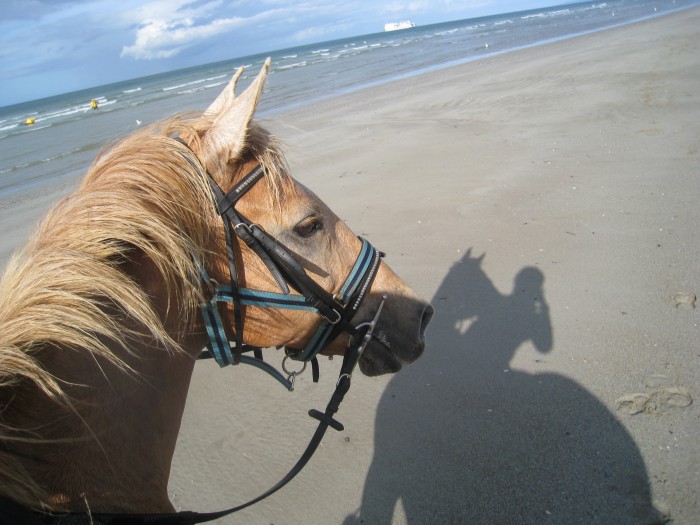 Photo de profil de sohapy61