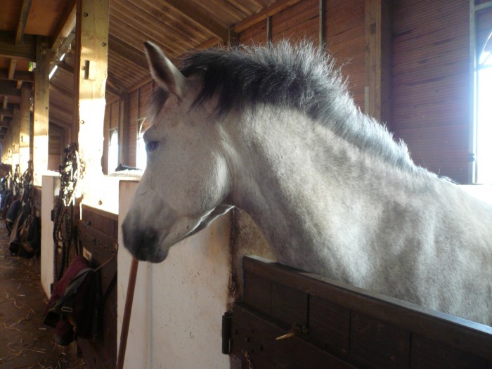 Photo de profil de steldu77330