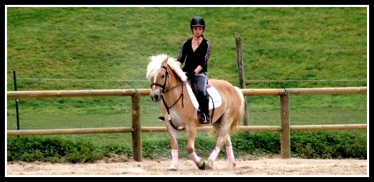 Photo de profil de dreamsbeing