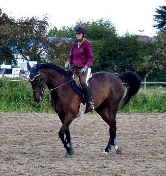 Photo de profil de caamillee