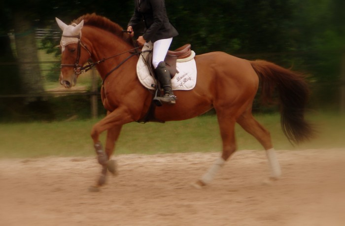 Photo de profil de seryndee