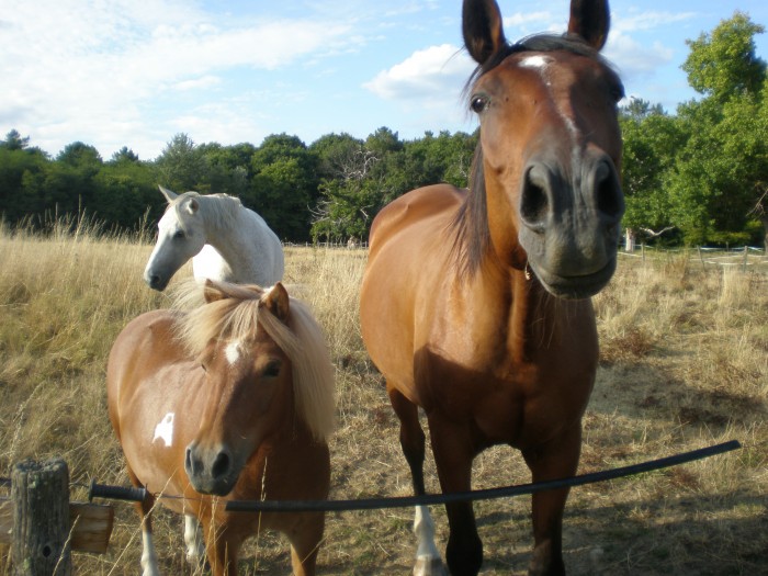 Photo de profil de charlotto