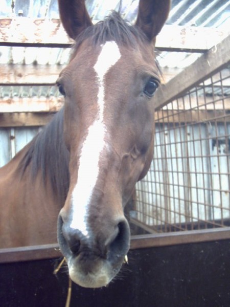 Photo de profil de shan2003