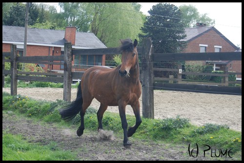 Photo de profil de plume0599