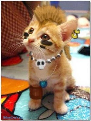 Photo de profil de mzll_nessy