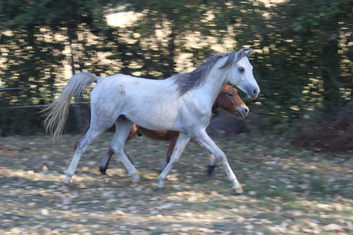 Photo de profil de dede81