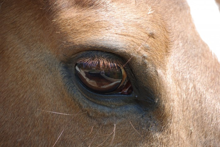 Photo de profil de ares177