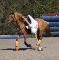 Photo de profil de numba