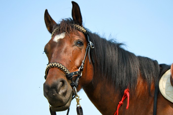 Photo de profil de sandjoan