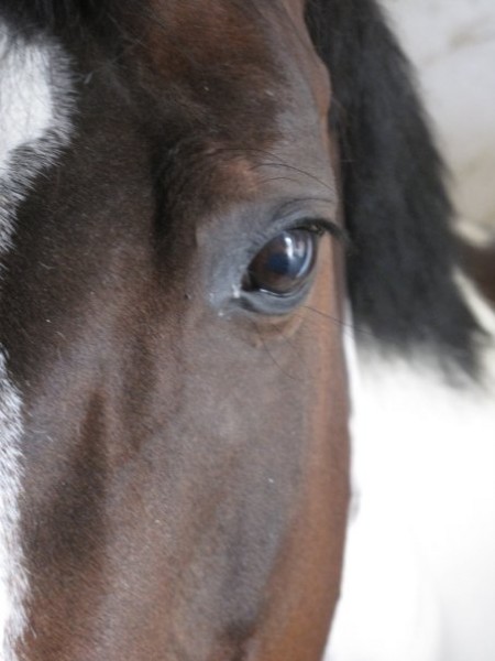 Photo de profil de cirma