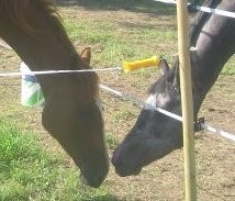 Photo de profil de soso59