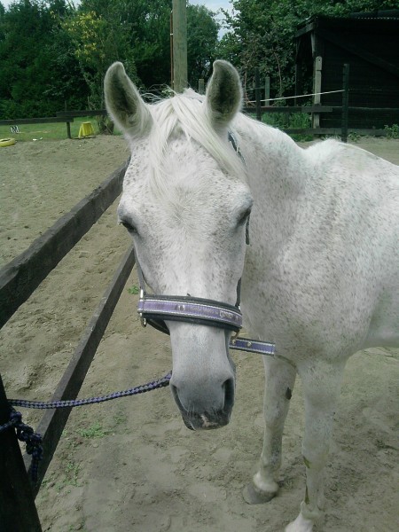 Photo de profil de kaline023