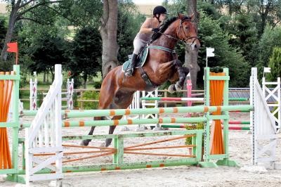 Photo de profil de debeauval