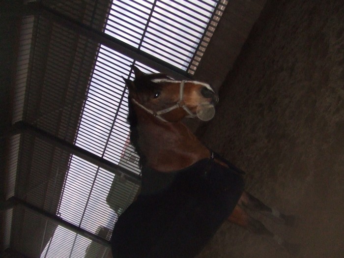 Photo de profil de djulaiiy