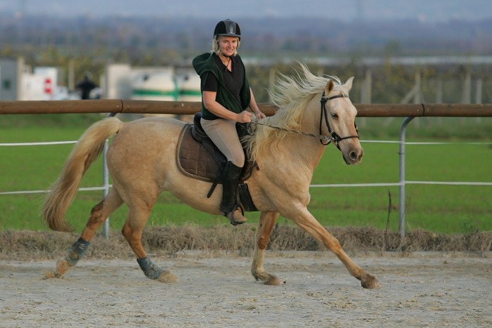 Photo de profil de sharlie