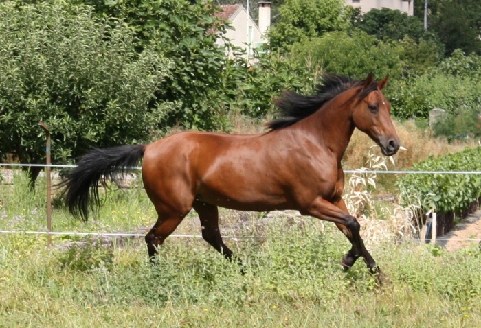Photo de profil de luthes