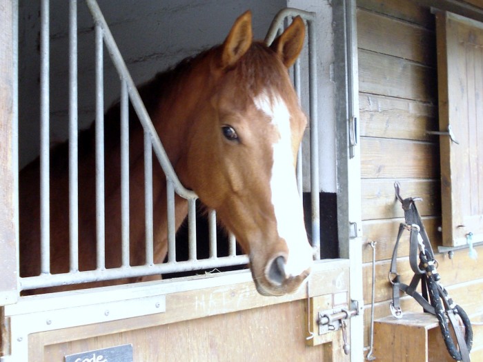 Photo de profil de alexcoderouge