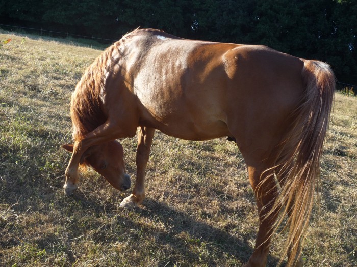 Photo de profil de amel4977