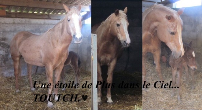Photo de profil de kookai.