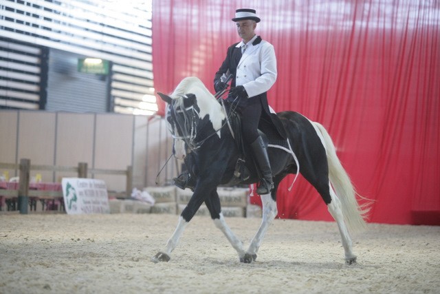 Photo de profil de harasdellobo