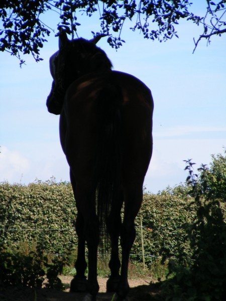 Photo de profil de klervi