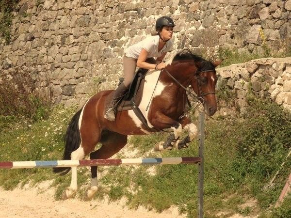 Photo de profil de justinelardet