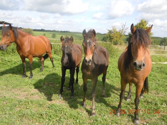 Photo de profil de galudji67