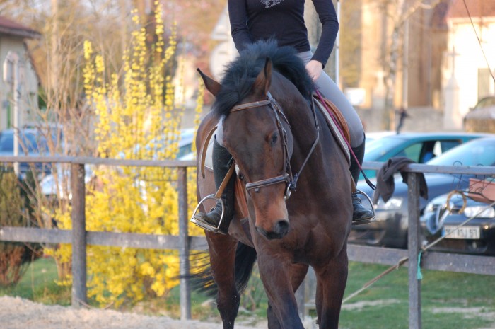 Photo de profil de aline057