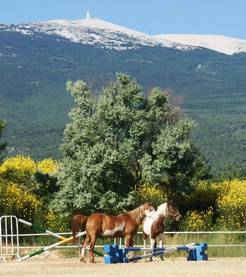 Photo de profil de lalouviere