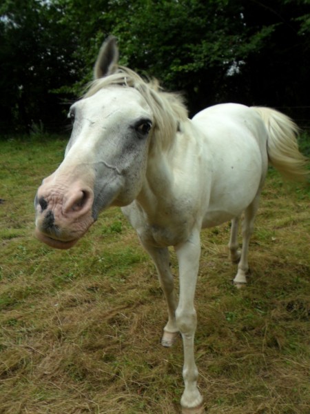 Photo de profil de ilooveoranda