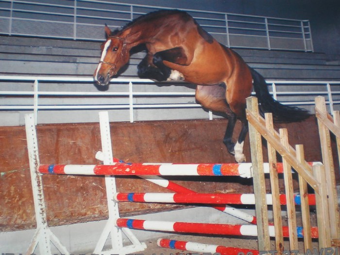 Photo de profil de emma66