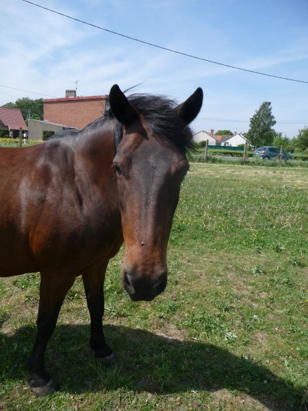 Photo de profil de tiiine62840