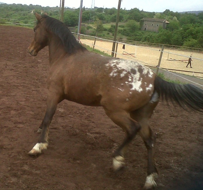 Photo de profil de zina0609