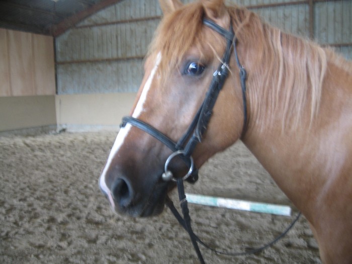 Photo de profil de lubna24