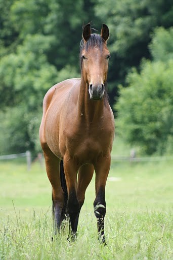 Photo de profil de loupane